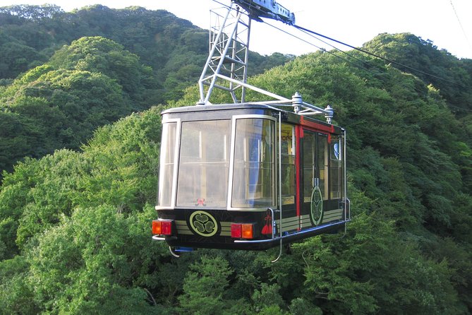 Private sightseeing tour from Shimizu Port / Van Taxi - Mihoshirube adds context when Fuji hides