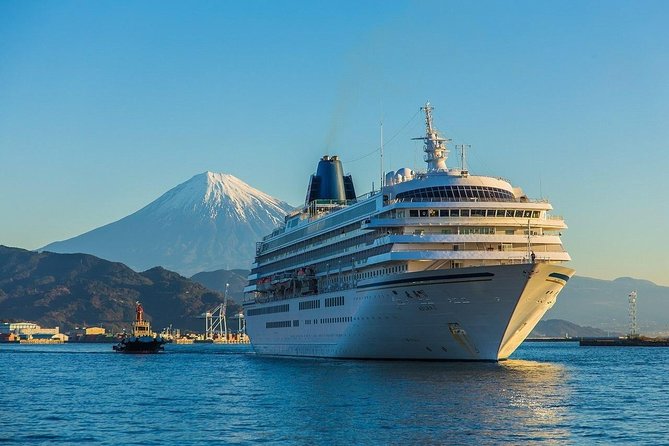 Private sightseeing tour from Shimizu Port / Van Taxi - Kunozan Toshogu and the Tokugawa connection