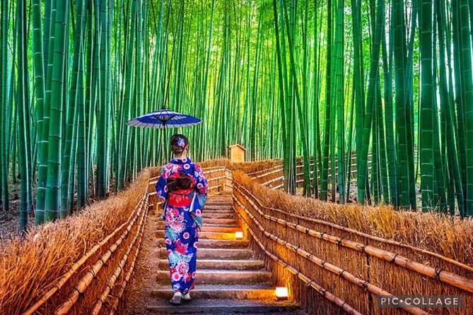 Private Tour Kyoto-Nara w/Hotel Pick Up & Drop off from Kyoto - Why this Kyoto and Nara combination works