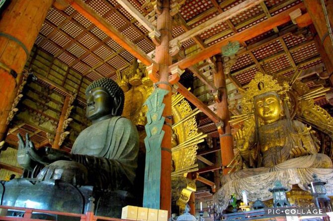 Private Tour Kyoto-Nara w/Hotel Pick Up & Drop off from Kyoto - Driver-host or licensed guide?