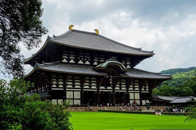 Private Tour Kyoto-Nara w/Hotel Pick Up & Drop off from Kyoto - Price, meals, and the real value