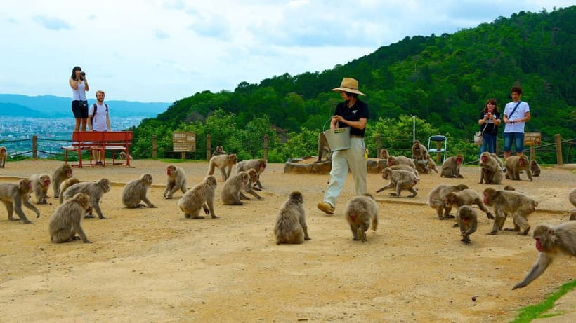 Private Tour to Monkey Park and Arashiyama Highlights - Key things to know before booking