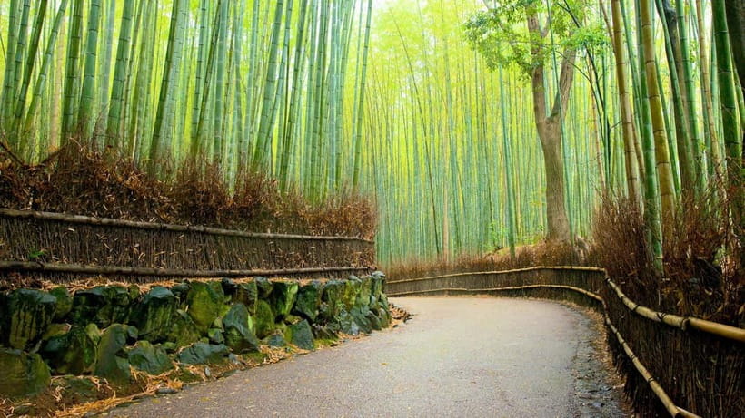Private Tour to Monkey Park and Arashiyama Highlights - Starting at Hankyu-Arashiyama Station