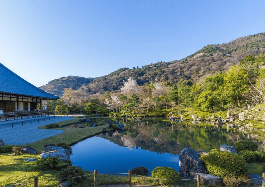 Private Tour to Monkey Park and Arashiyama Highlights - Who will enjoy this private outing