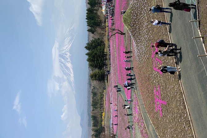 Private Tour to Mt. Fuji and Hakone (Fully Licenced Operator) - Lake Kawaguchiko, ropeway views, and time choices