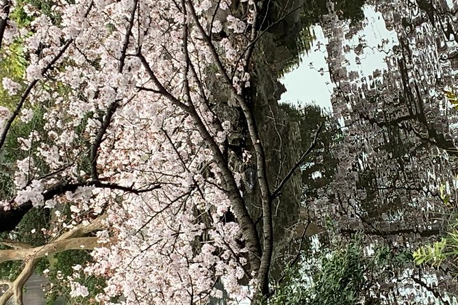 Private Tour to Mt. Fuji and Hakone (Fully Licenced Operator) - Shrines, cedar paths, and the Chureito Pagoda climb