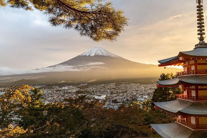 Private Tour to Mt Fuji and Hakone with English Speaking Driver - Lake Kawaguchiko: Fuji’s most useful viewpoint