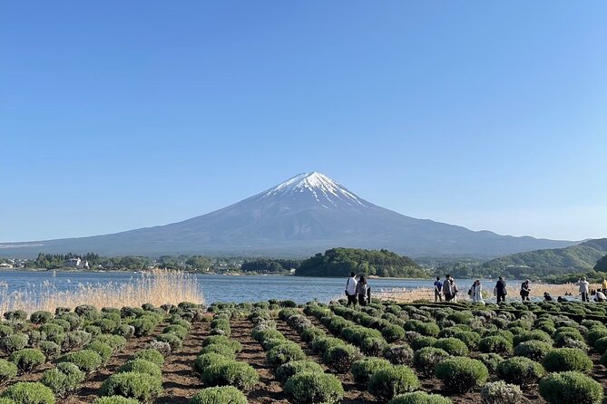 Private Tour to Mt Fuji and Hakone with English Speaking Driver - The long ride from Tokyo to Fuji country