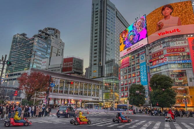 Private Tour with a Local Guide - Learn about daily life in Japan - Key Points to Know Before Booking