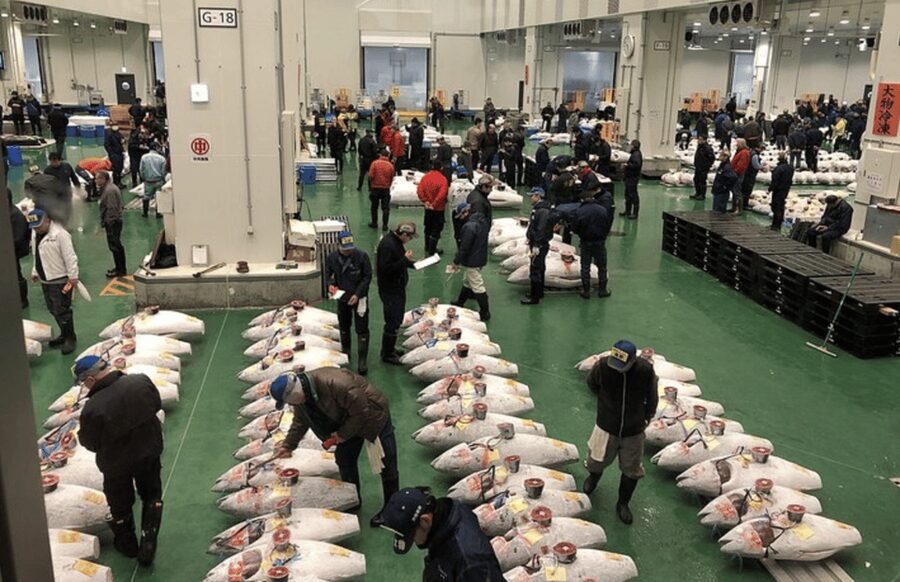 Private Toyosu & Tsukiji Market Adventure with Tuna Auction - Key points to know before booking