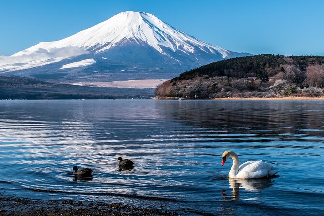 Private Unforgettable Mt Fuji Tour with English Speaking Driver - Saiko Iyashi no Sato Nemba and old village buildings