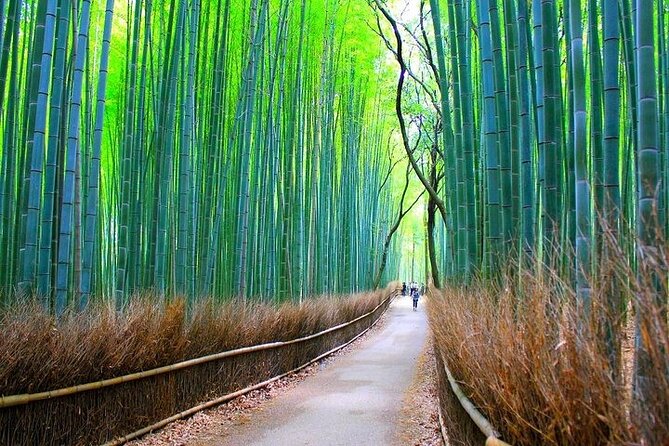 Private Walking Tour in Bamboo Forest & Hidden Spots in Arashiyama - What the private format really adds