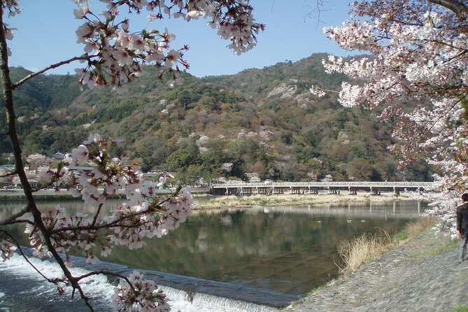 Private Walking Tour in Bamboo Forest & Hidden Spots in Arashiyama - Saga Toriimoto’s preserved traditional buildings