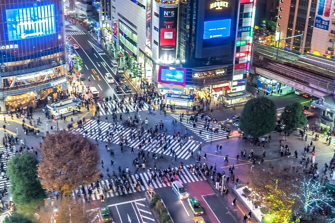 Real Anime Culture Tour in Shibuya: Food, Shopping & Game Fun - Animate Shibuya brings broader anime merchandise