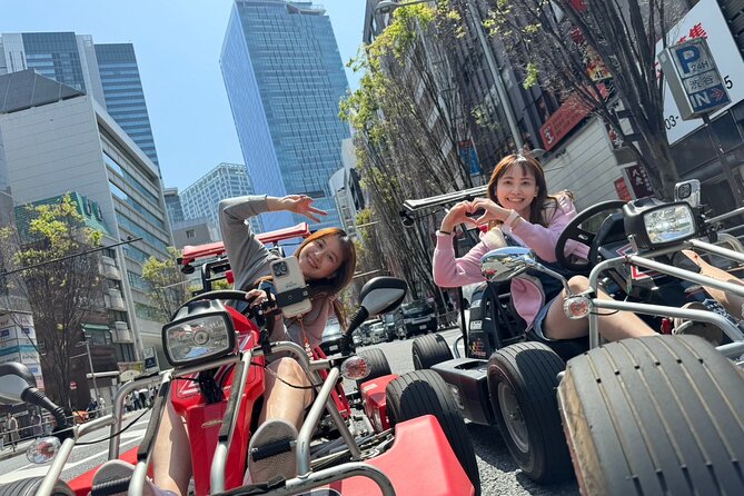 Ride Through The Streets Of Shibuya and Sinjuku By Go Kart - The driving permit rules are not a minor detail