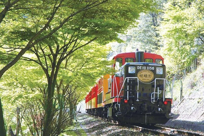 Sagano Romantic Train & Arashiyama, Kiyomizudera, Fushimi Inari Taisha Day Tour - The Sagano Romantic Train along the Hozugawa River