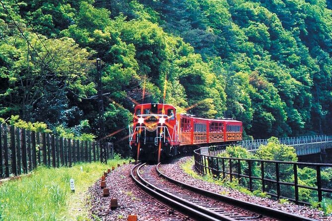 Sagano Romantic Train & Arashiyama, Kiyomizudera, Fushimi Inari Taisha Day Tour - What the guide adds to the experience