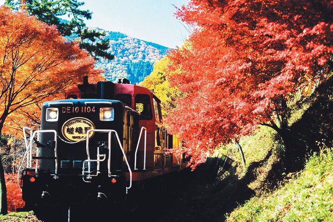 Sagano Romantic Train & Arashiyama, Kiyomizudera, Fushimi Inari Taisha Day Tour - Fushimi Inari Taisha and its endless red gates