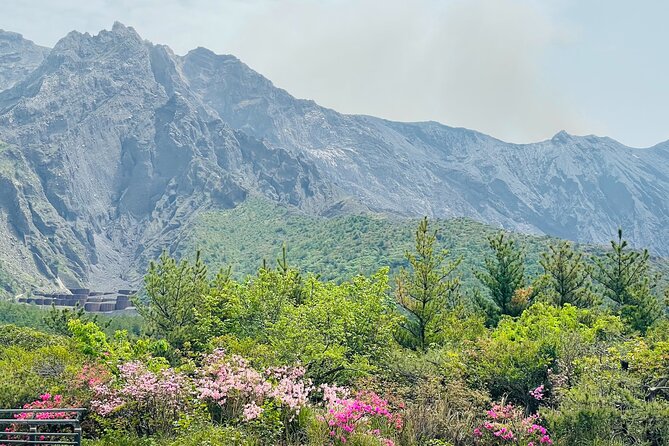 Sakurajima Century Lava Climb Journey with E-bike - Starting near the Sakurajima Ferry Terminal