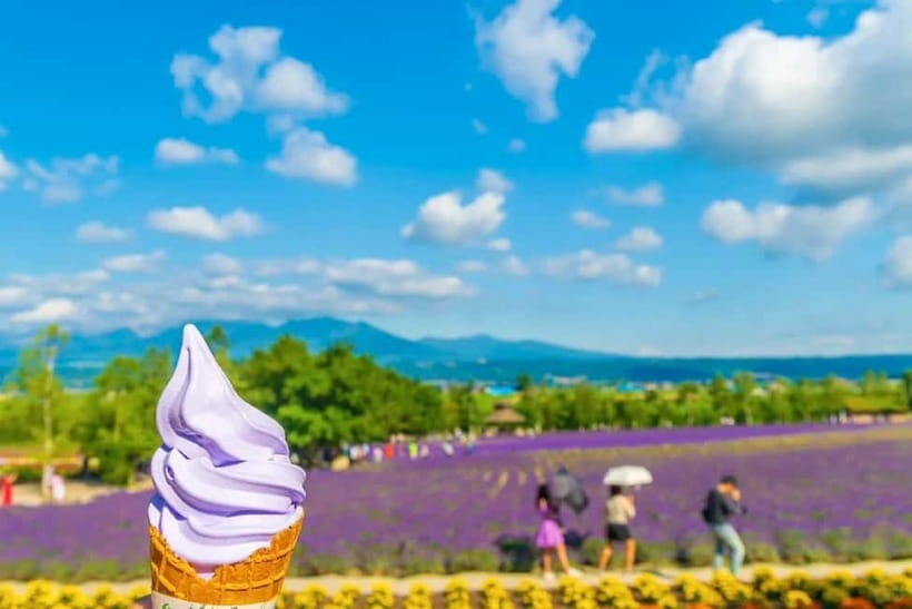 Sapporo: Furano Flower Sea & Biei Blue Pond Tour w/ Pickup - Farm Tomita and the Furano flower country