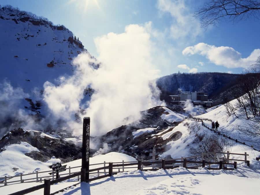 Sapporo: Hokkaido, Noboribetsu and Lake Toya Day Tour - Showa Shinzan and the Brown Bear Question