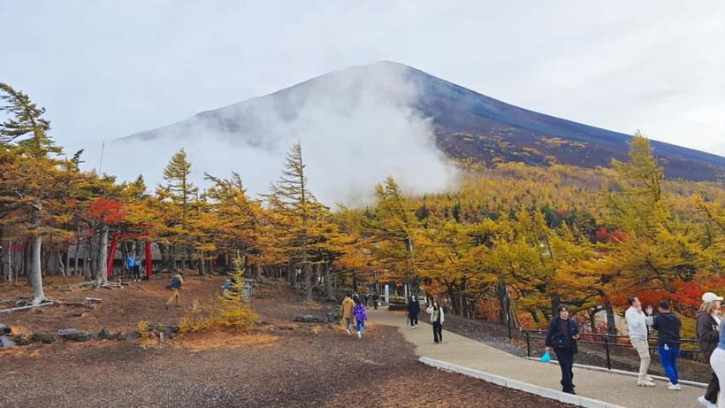 [Seasonal Limited] Mt. Fuji 5th Station &Hot Spring Day Tour - What the $50 price really buys you