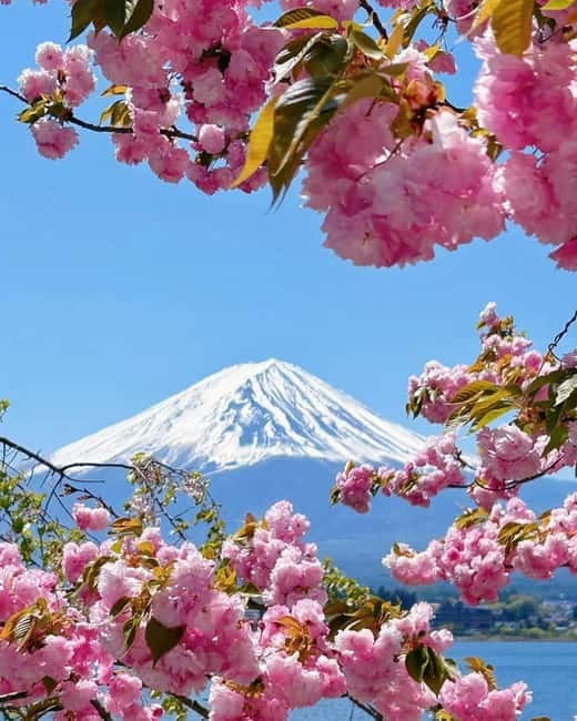 [Seasonal Limited] Mt. Fuji 5th Station &Hot Spring Day Tour - Weather, crowds, and the real pace of the day