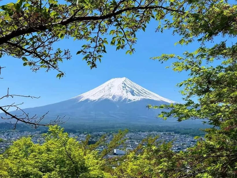 [Seasonal Limited] Mt. Fuji 5th Station &Hot Spring Day Tour - What the guides add to the experience