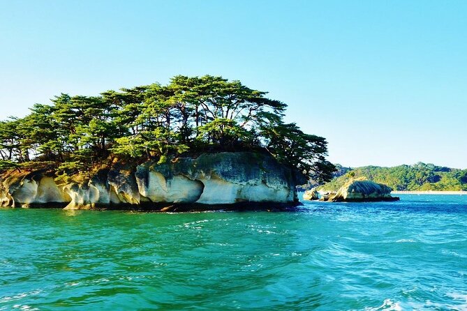 Sendai / Matsushima Half-Day Private Tour with Government-Licensed Guide - Sendai Castle Ruins and city views
