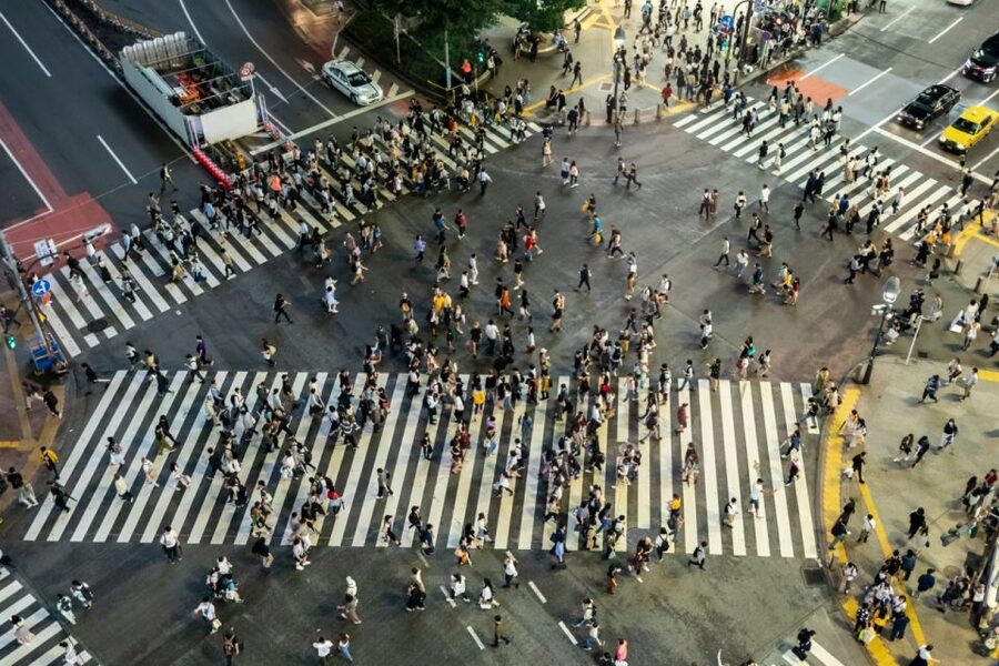 Shibuya & Harajuku: Hidden Gems & Highlights Private Tour - Why a Private Guide Helps in These Districts