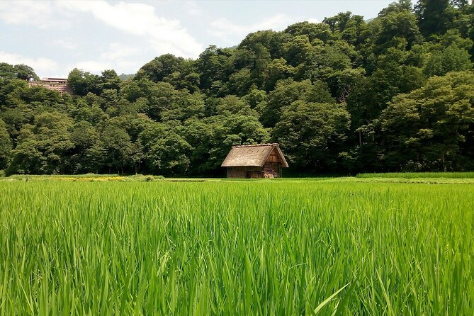 Shirakawago & Kanazawa from Kanazawa - Four hours among Shirakawago’s thatched houses
