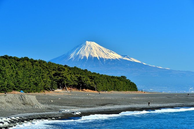 Shizuoka/Shimizu Mt Fuji View 6 hr Private Tour: Guide Only - Five Things to Know Before You Book