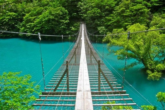 Shizuoka/Shimizu Mt Fuji View 6 hr Private Tour: Guide Only - What This Six-Hour Tour Really Offers