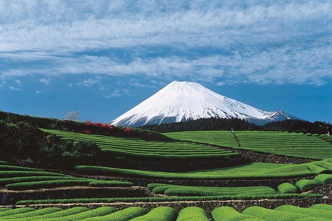 Shizuoka/Shimizu Mt Fuji View 6 hr Private Tour: Guide Only - Transport: The Cost That Changes the Day