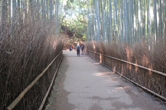 Shore excursion: Full Day Private Kyoto Tour From Osaka/Kobe Port - The Extra Vehicle Charge Changes the Value