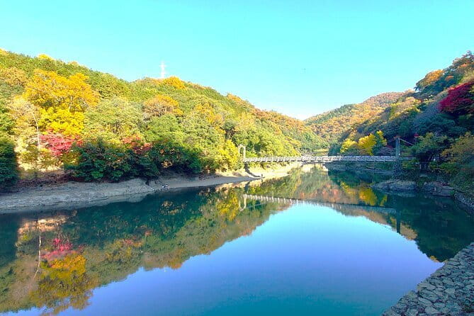 Slow Cycling Tour at Uji's Matcha Green Tea Fields and Heritage - Chazuna: begin with Uji tea culture