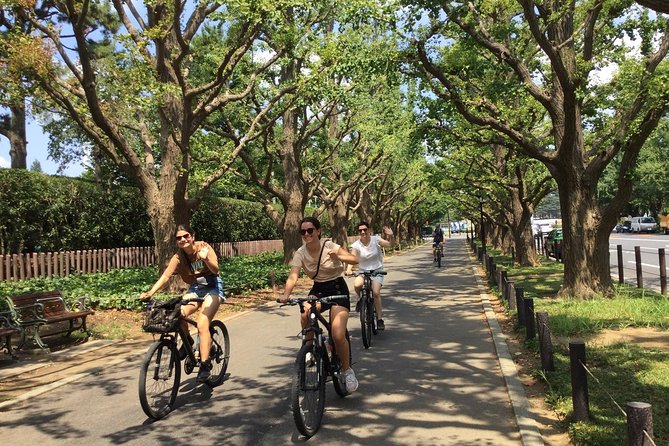 Small Group Cycling Tour in Tokyo - Shiodome: lunch and a high city view