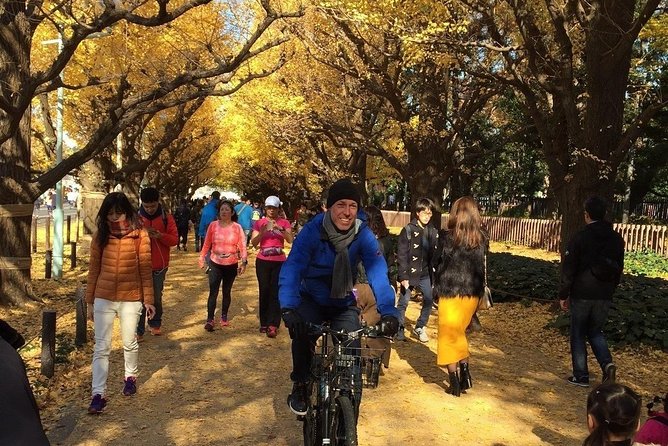 Small Group Cycling Tour in Tokyo - How hard is the ride?
