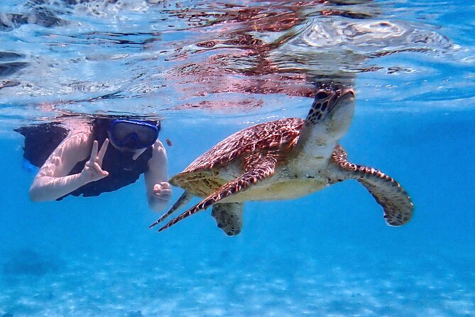 Snorkeling Activity in Okinawa Miyako Japan - Meeting at Shigira Beach Parking Lot