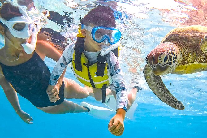 Snorkeling Activity in Okinawa Miyako Japan - How the guides shape the experience