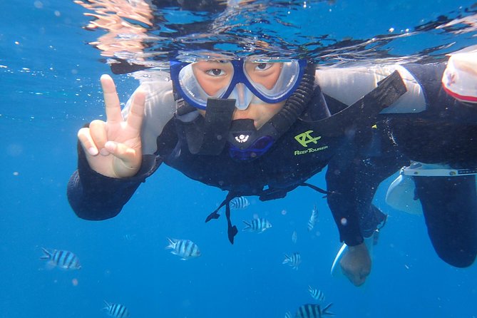 Snorkeling in the Blue Cave area【Okinawa Prefecture: Free feeding & photo images!English and Chinese speaking guide available! - Entering the 30-meter Blue Cave