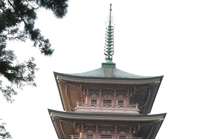 Snow Monkey Park & Zenkoji Temple Nagano Pvt. Full Day Tour. - What $800 means for your group