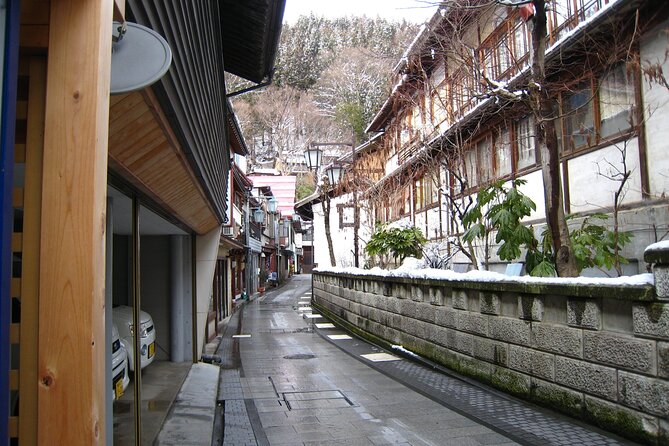 Snow Monkey & Shibu Onsen Afternoon Tour (Depart: Iiyama & Nozwa) - Why This Half-Day Trip Works So Well