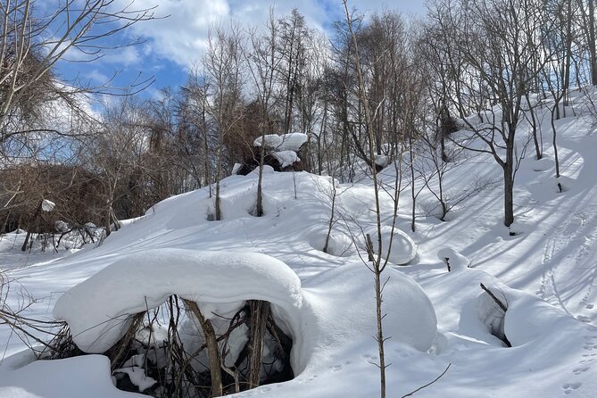 Snowshoeing and Onsen Adventures in a Winter Wonderland -Sapporo. - Lunch in a white forest