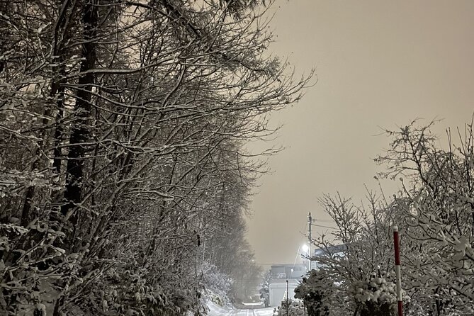 Snowshoeing and Onsen Adventures in a Winter Wonderland -Sapporo. - A small group changes the value