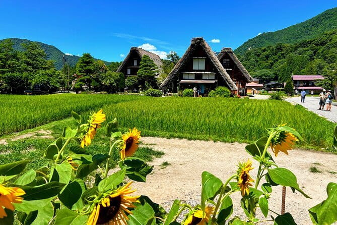 Taste of Kanazawa (Food tasting in Omicho Market & Higashi Chaya) - Should you book Taste of Kanazawa?