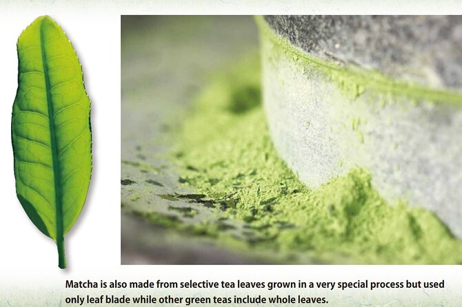 Tea Ceremony Workshop in Tokyo by the Experienced Instrucor - Taste thick matcha and Japanese sweets