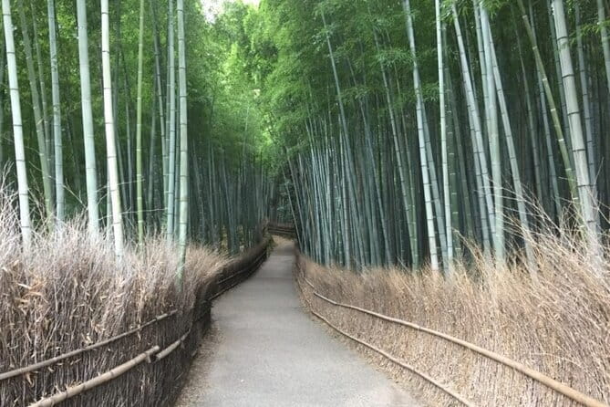 The Art of Geisha: Exclusive Show & Gion Walking Tour - Is $124.21 a fair price?