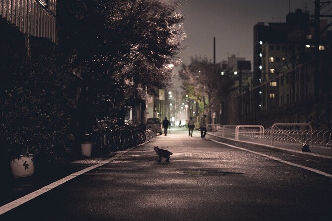 The Dark Side of Osaka Walking Tour - Tobita Shinchi and the difficult subject of red-light districts