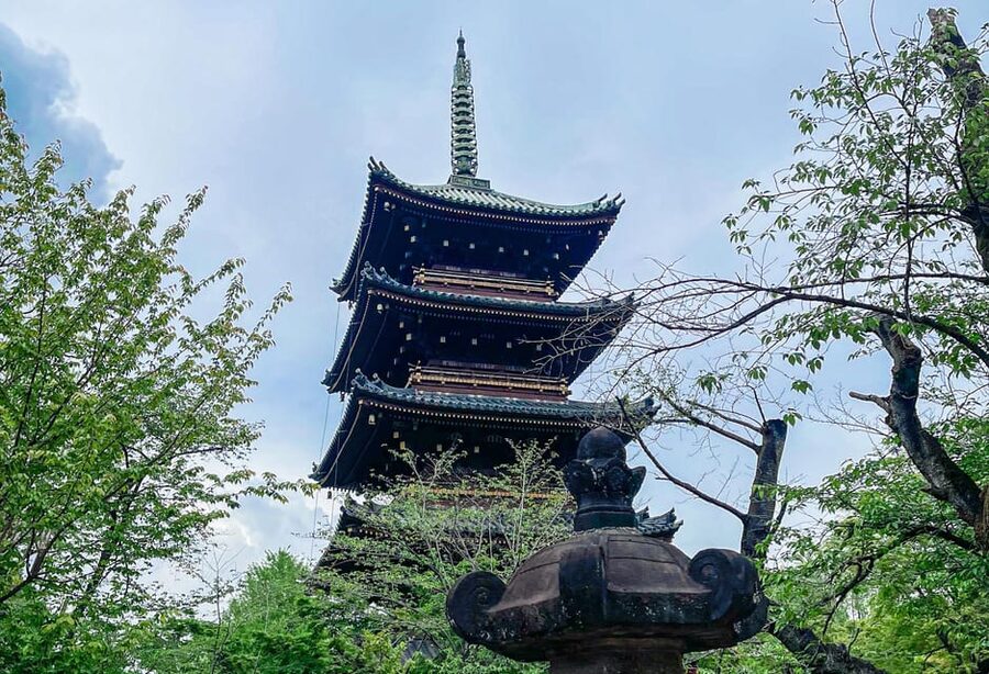 Tokio A: Tour de la ciudad en Español - Spanish - Five details that shape the day